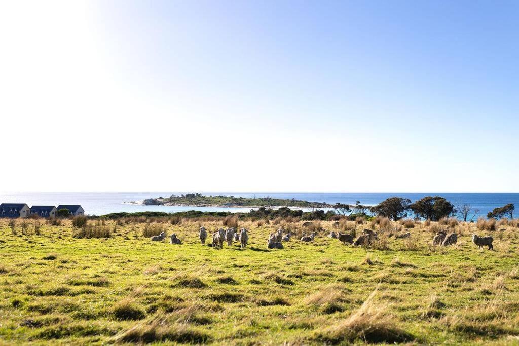 Beach Break - Diamond Island Bicheno Bagian luar foto
