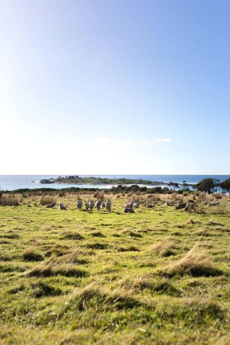Beach Break - Diamond Island Bicheno Bagian luar foto