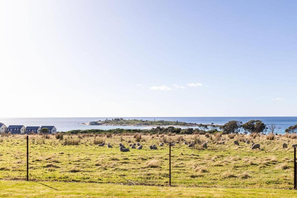 Beach Break - Diamond Island Bicheno Bagian luar foto